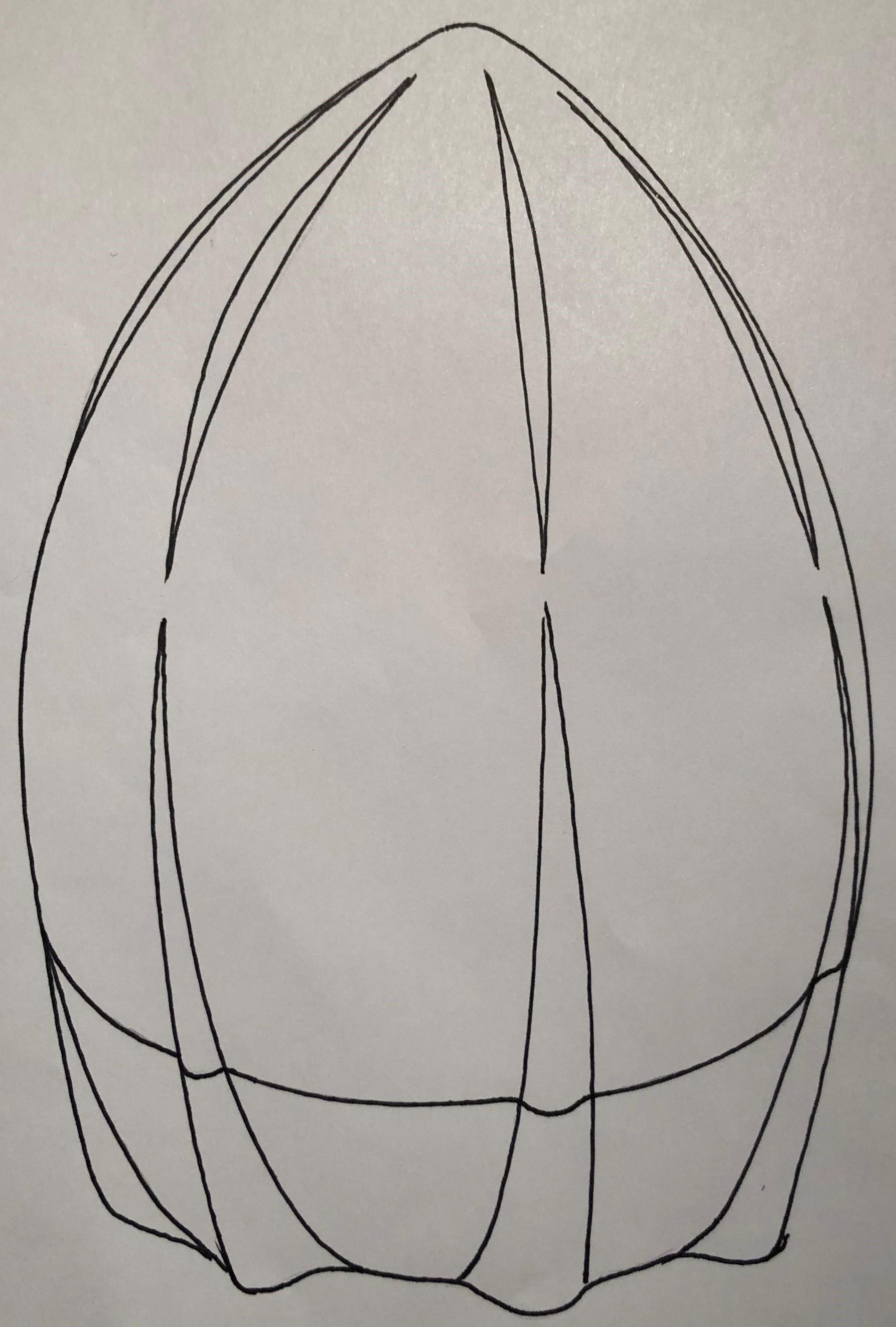 design image 2.5